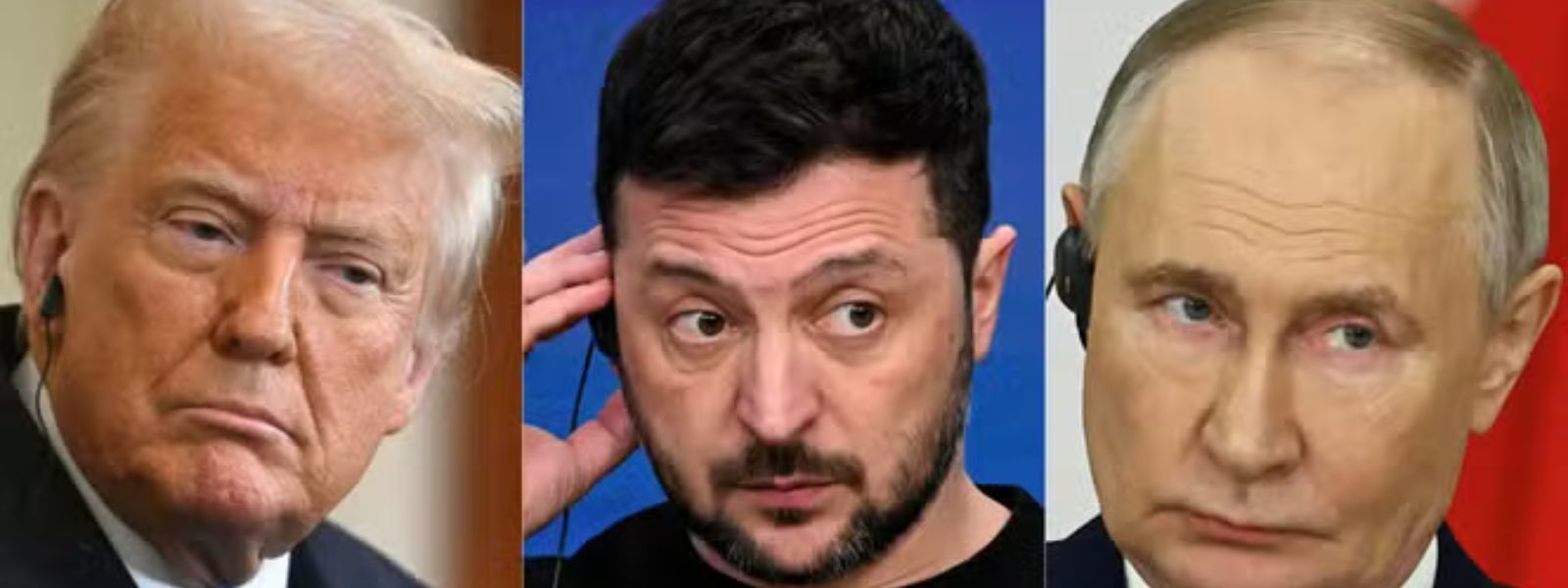 Trump Intends To Meet Putin, Zelensky